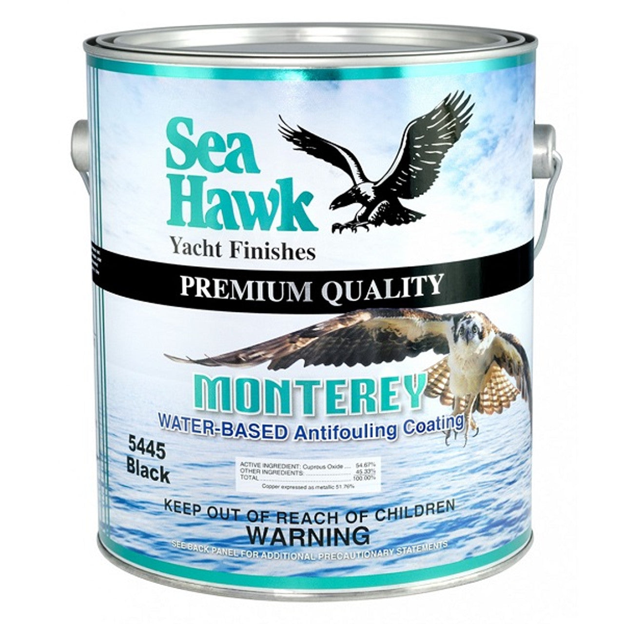 Peinture de fond pour Sea Hawk Monterey