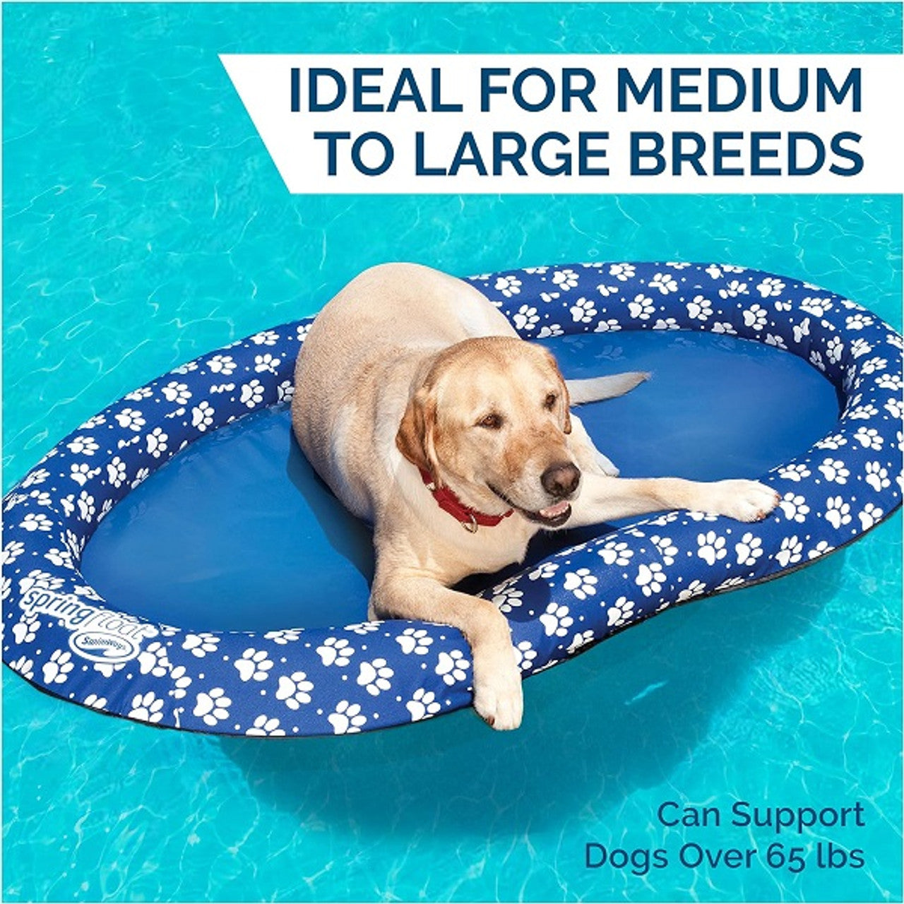 Flotteur de piscine pour chien SwimWays Paddle Paws Spring