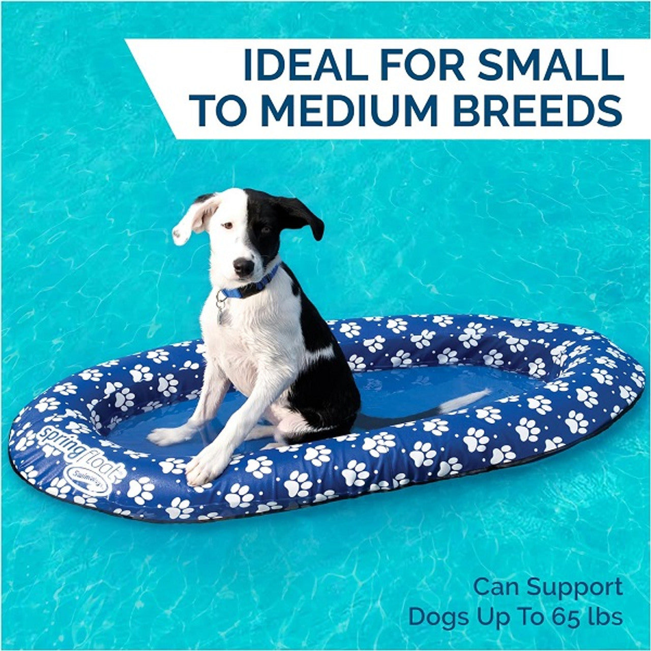 Flotteur de piscine pour chien SwimWays Paddle Paws Spring