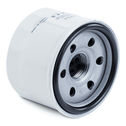 Sierra 18-7915-1 Oil Filter Replaces 0778885