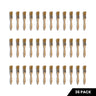 1/2" Chip Brushes - 36 Pack - image 2