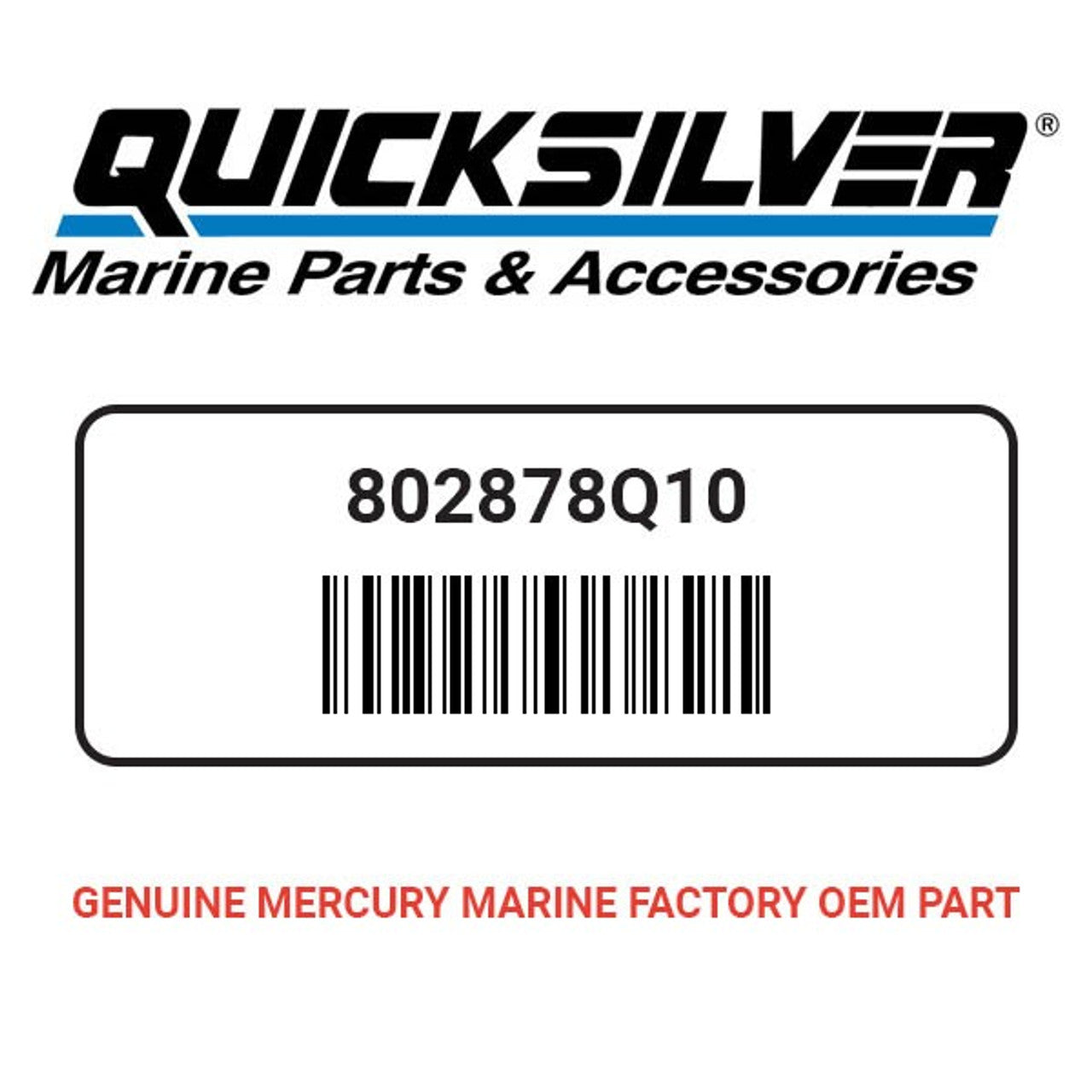 Quicksilver 92-802878Q10 Paint-Gray