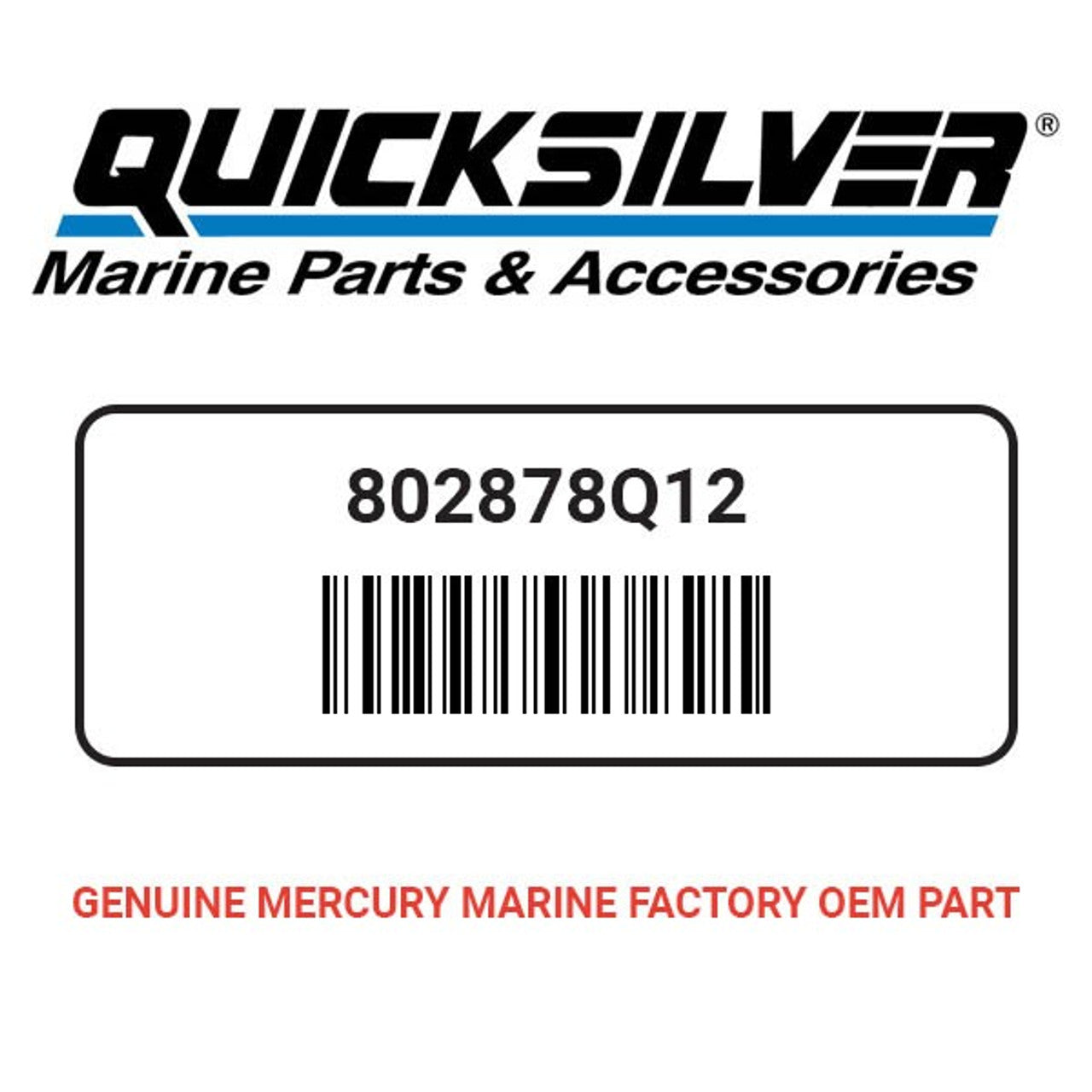 Quicksilver 92-802878Q12 Paint-Silver