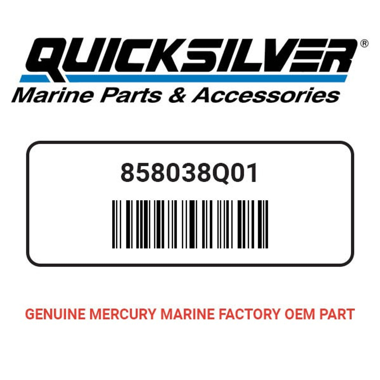 Quicksilver 92-858038Q01 Oil-Dfi 10L