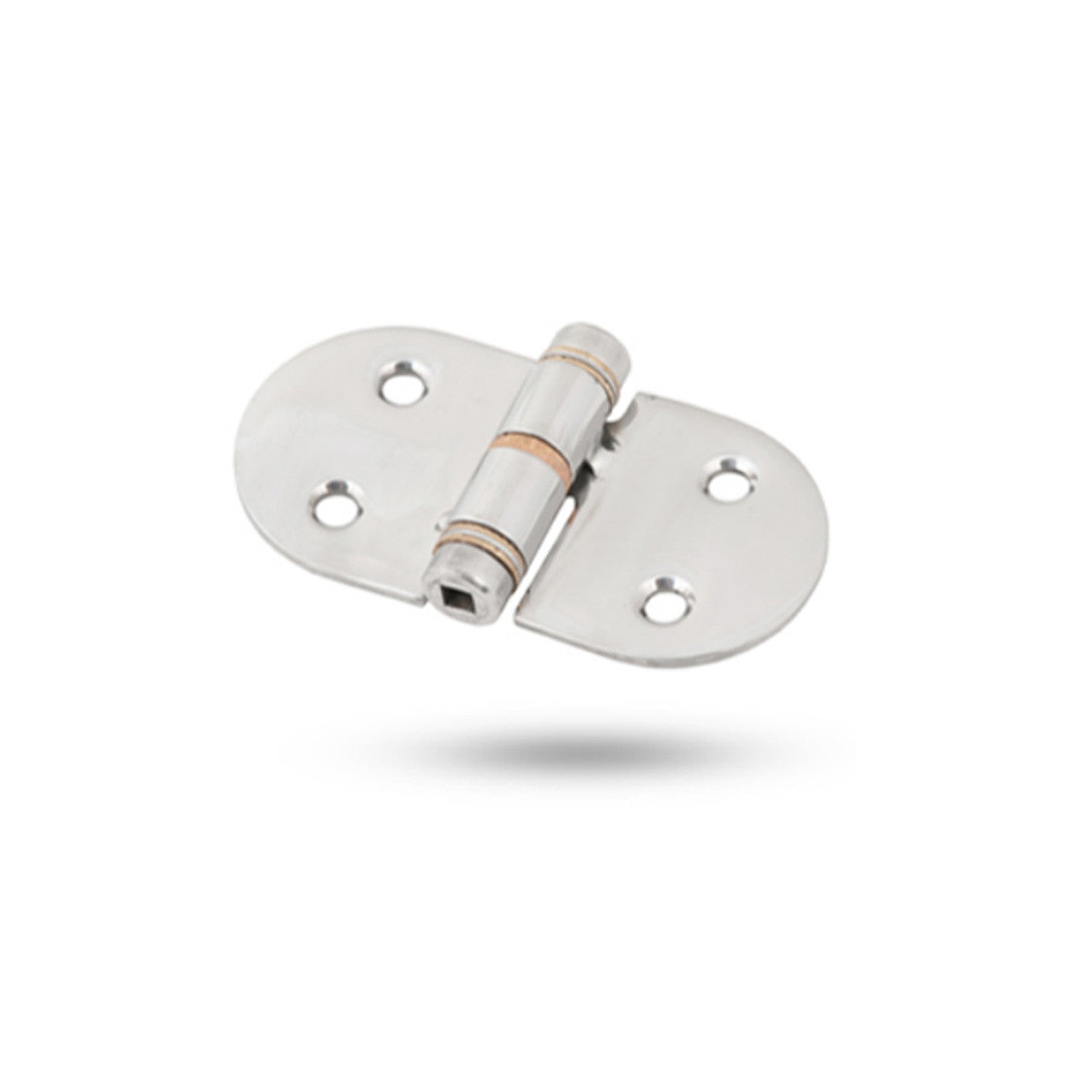 Whitecap Stainless Steel Friction Hinge