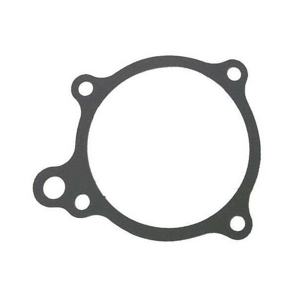 Water Pump Gasket