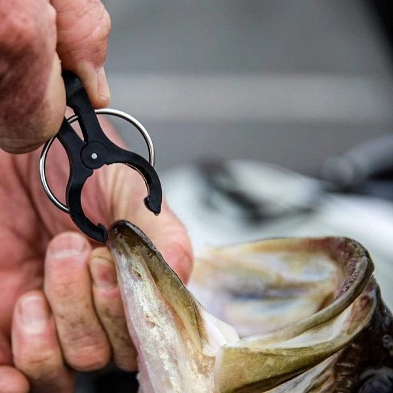 TH Marine G-Force Conservation Cull System