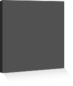 EZ-Fabricoat Aerosol Satin Dark Gray 3006