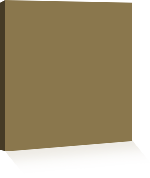 EZ-Fabricoat Aerosol Satin Dark Khaki 3004